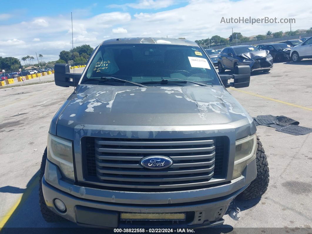 2010 Ford F-150   Серый vin: 1FTEW1C82AKB85573