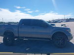 2010 Ford F-150   Серый vin: 1FTEW1C82AKB85573