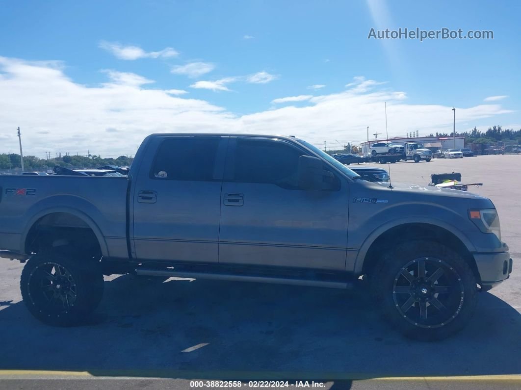 2010 Ford F-150   Gray vin: 1FTEW1C82AKB85573