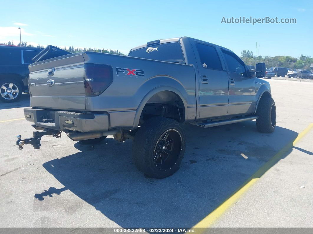 2010 Ford F-150   Gray vin: 1FTEW1C82AKB85573