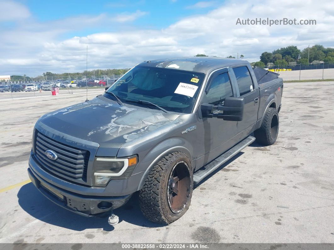 2010 Ford F-150   Gray vin: 1FTEW1C82AKB85573