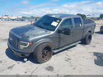 2010 Ford F-150   Серый vin: 1FTEW1C82AKB85573