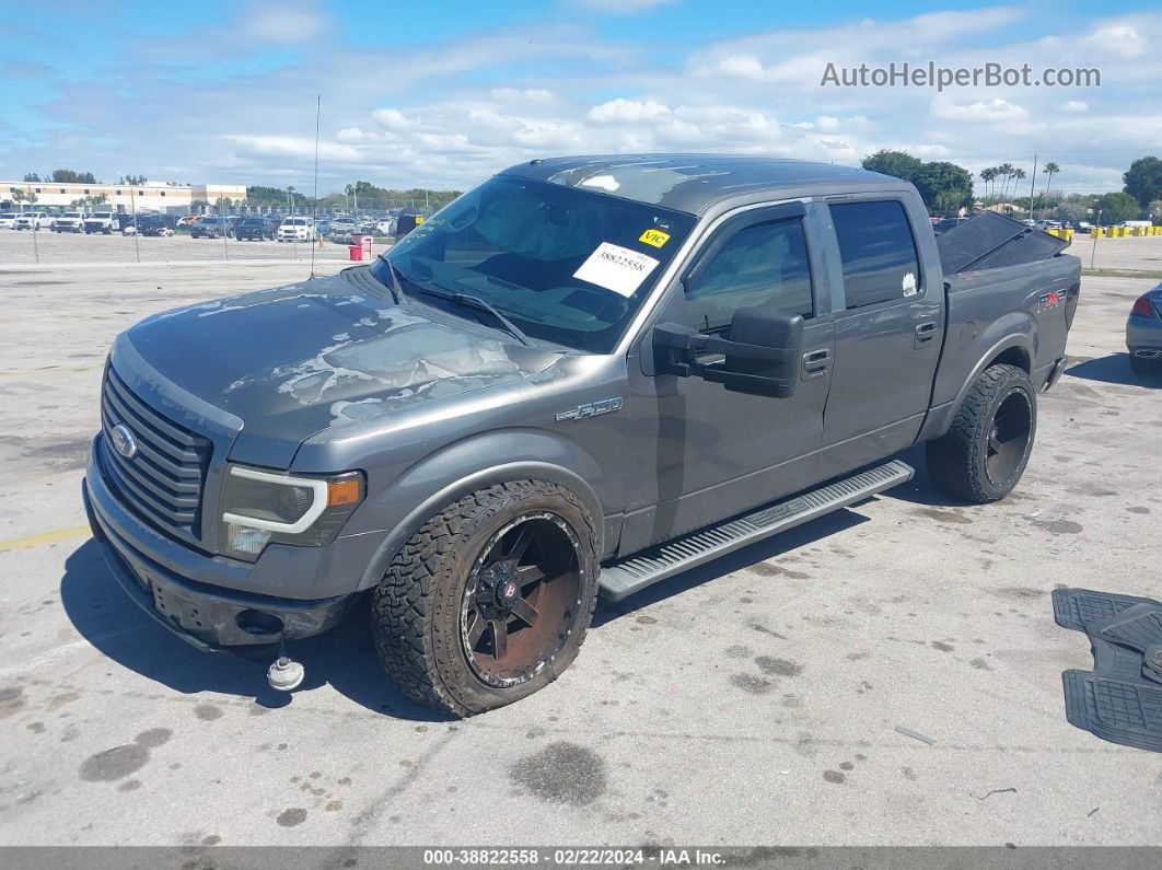 2010 Ford F-150   Gray vin: 1FTEW1C82AKB85573