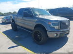 2010 Ford F-150   Серый vin: 1FTEW1C82AKB85573