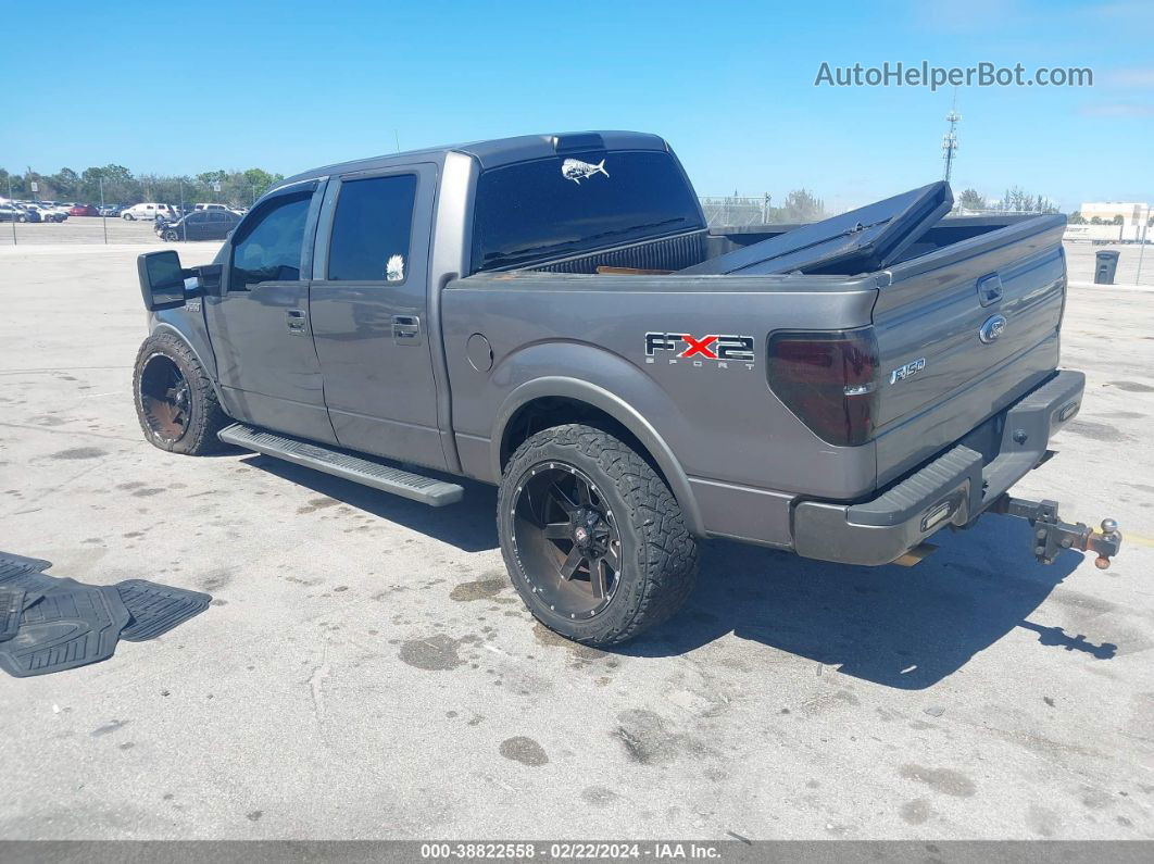 2010 Ford F-150   Gray vin: 1FTEW1C82AKB85573