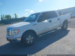 2010 Ford F-150 Xlt White vin: 1FTEW1C83AFA98211