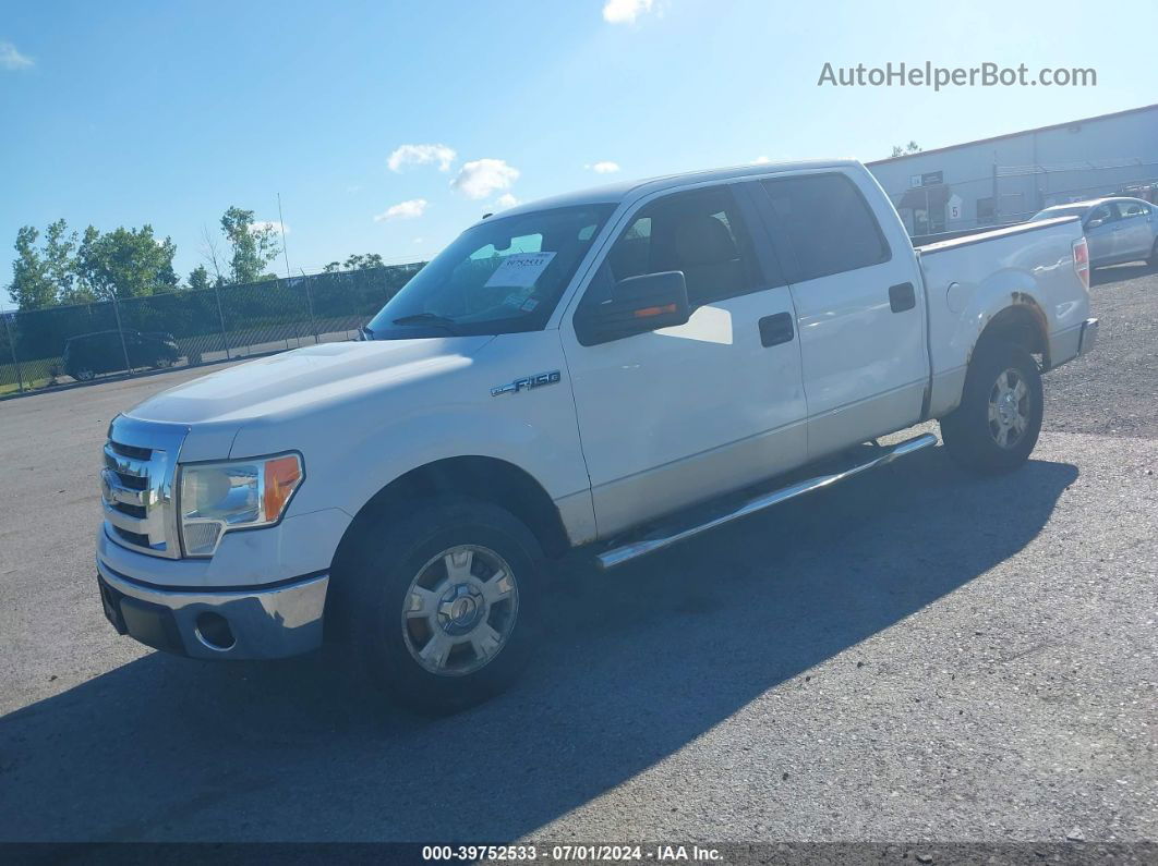 2010 Ford F-150 Xlt Белый vin: 1FTEW1C83AFA98211