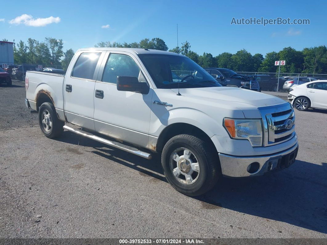 2010 Ford F-150 Xlt Белый vin: 1FTEW1C83AFA98211