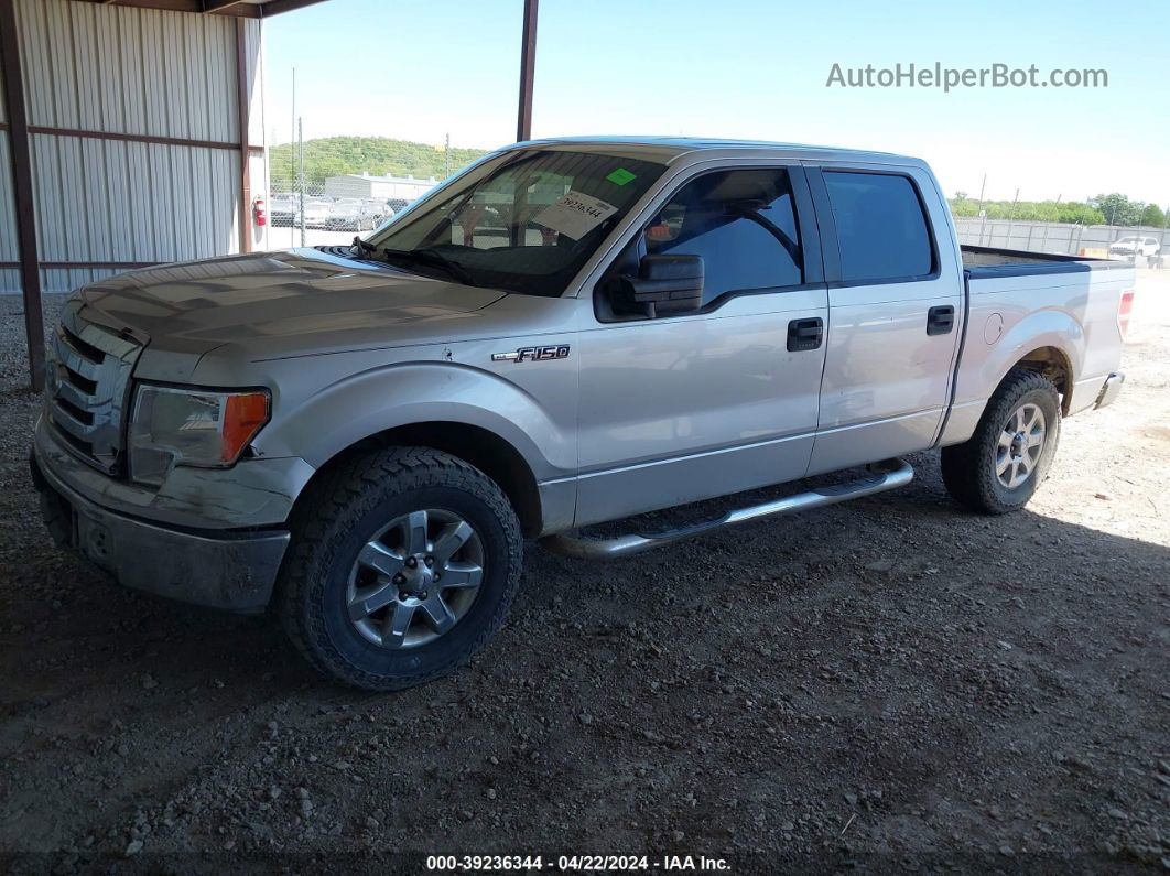 2010 Ford F-150 Xlt Silver vin: 1FTEW1C83AFB69097