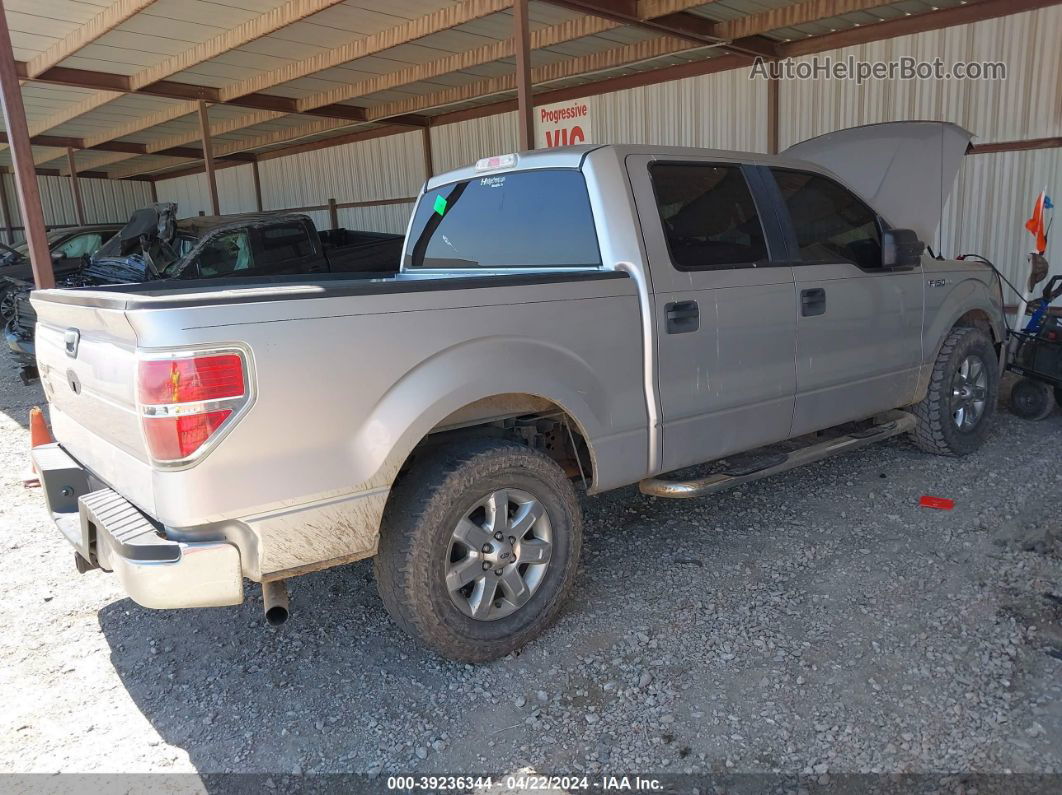 2010 Ford F-150 Xlt Silver vin: 1FTEW1C83AFB69097