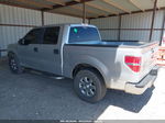 2010 Ford F-150 Xlt Silver vin: 1FTEW1C83AFB69097