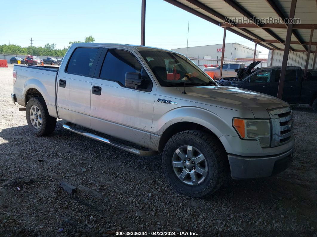 2010 Ford F-150 Xlt Silver vin: 1FTEW1C83AFB69097