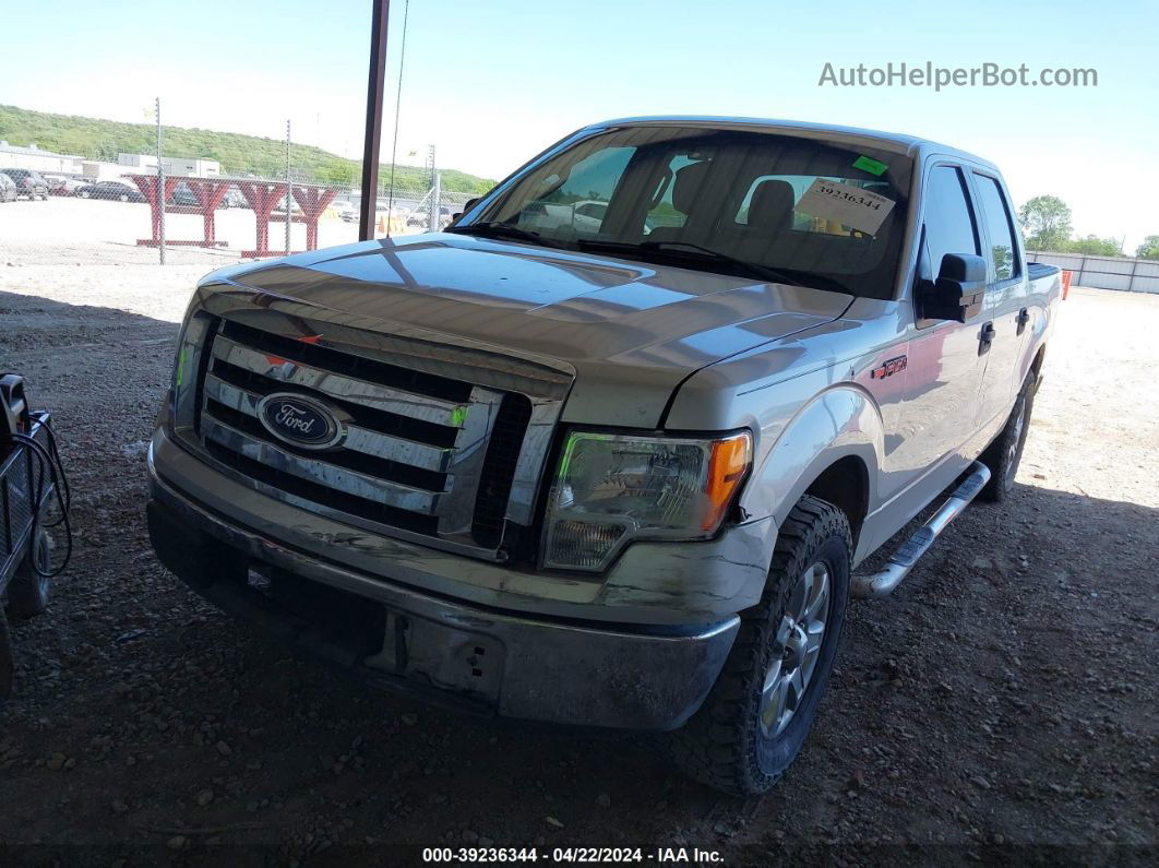 2010 Ford F-150 Xlt Silver vin: 1FTEW1C83AFB69097