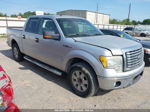 2010 Ford F-150 Fx2 Sport/xl/xlt Silver vin: 1FTEW1C83AKE45687