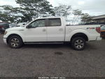 2010 Ford F-150 Xl/xlt Белый vin: 1FTEW1C83AKE60657