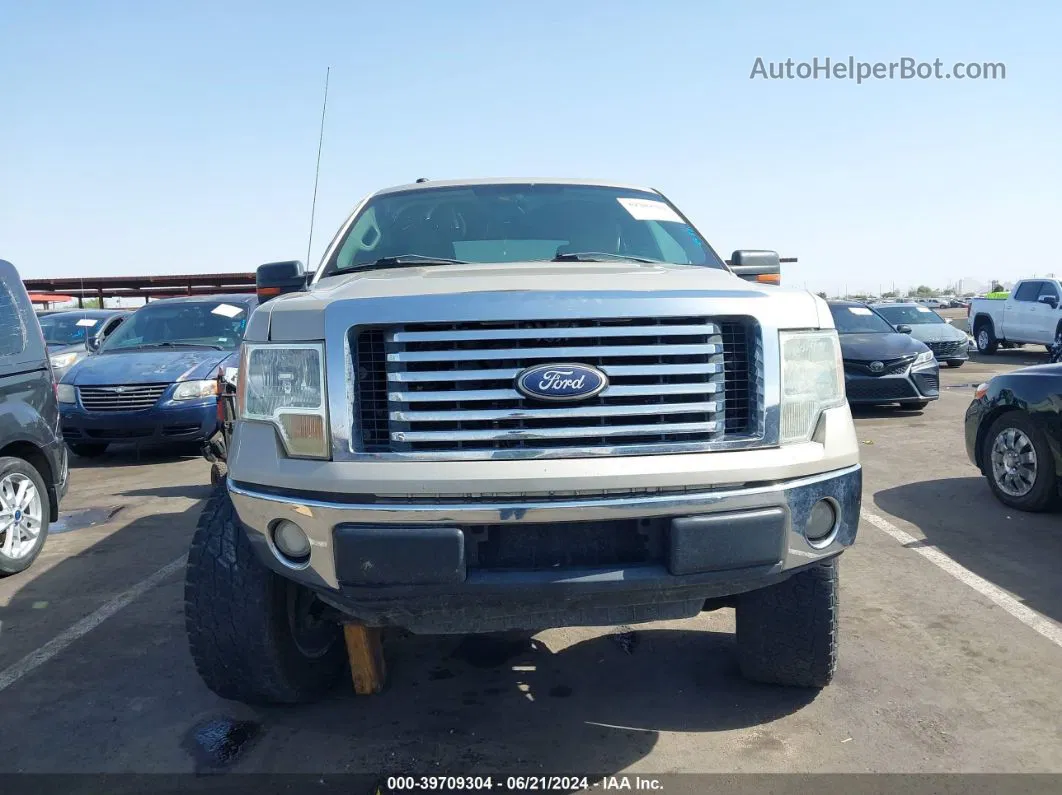 2010 Ford F-150 Fx2 Sport/xl/xlt Золотой vin: 1FTEW1C84AFA07639