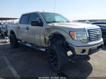 2010 Ford F-150 Fx2 Sport/xl/xlt Gold vin: 1FTEW1C84AFA07639