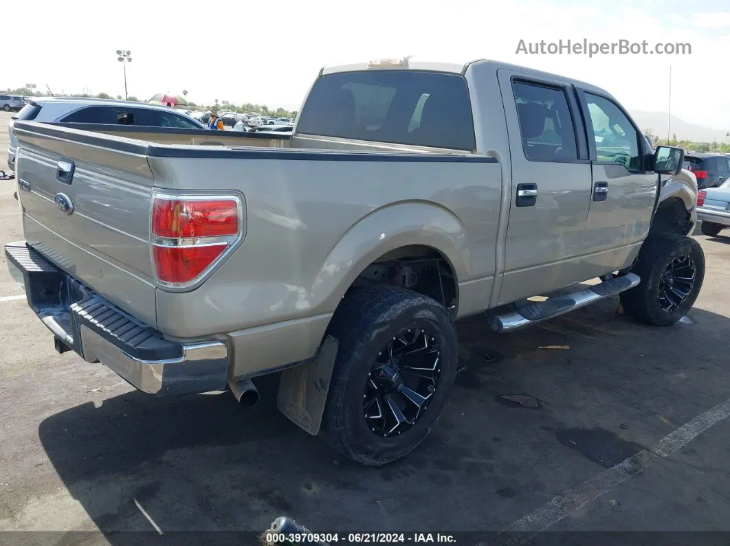 2010 Ford F-150 Fx2 Sport/xl/xlt Золотой vin: 1FTEW1C84AFA07639