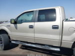 2010 Ford F-150 Fx2 Sport/xl/xlt Золотой vin: 1FTEW1C84AFA07639