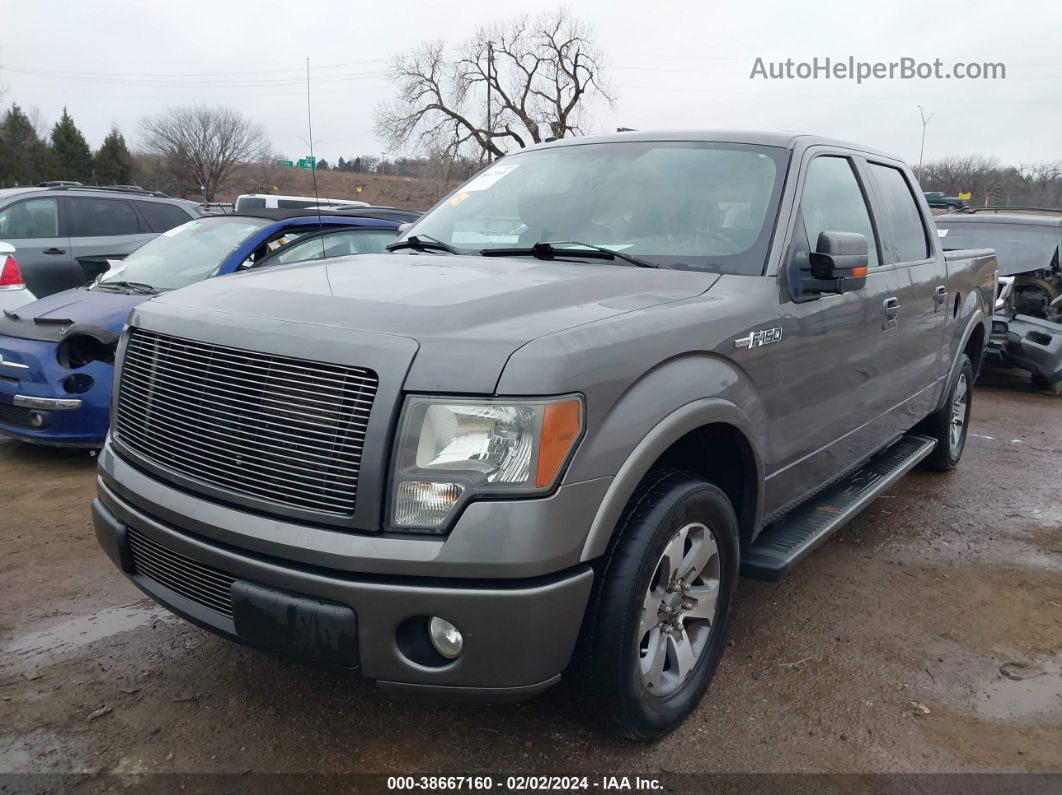 2010 Ford F-150 Xl/xlt Gray vin: 1FTEW1C84AKC34417