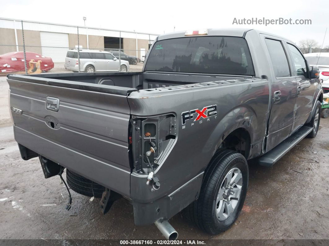 2010 Ford F-150 Xl/xlt Серый vin: 1FTEW1C84AKC34417