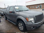 2010 Ford F-150 Xl/xlt Gray vin: 1FTEW1C84AKC34417