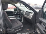 2010 Ford F-150 Xl/xlt Gray vin: 1FTEW1C84AKC34417