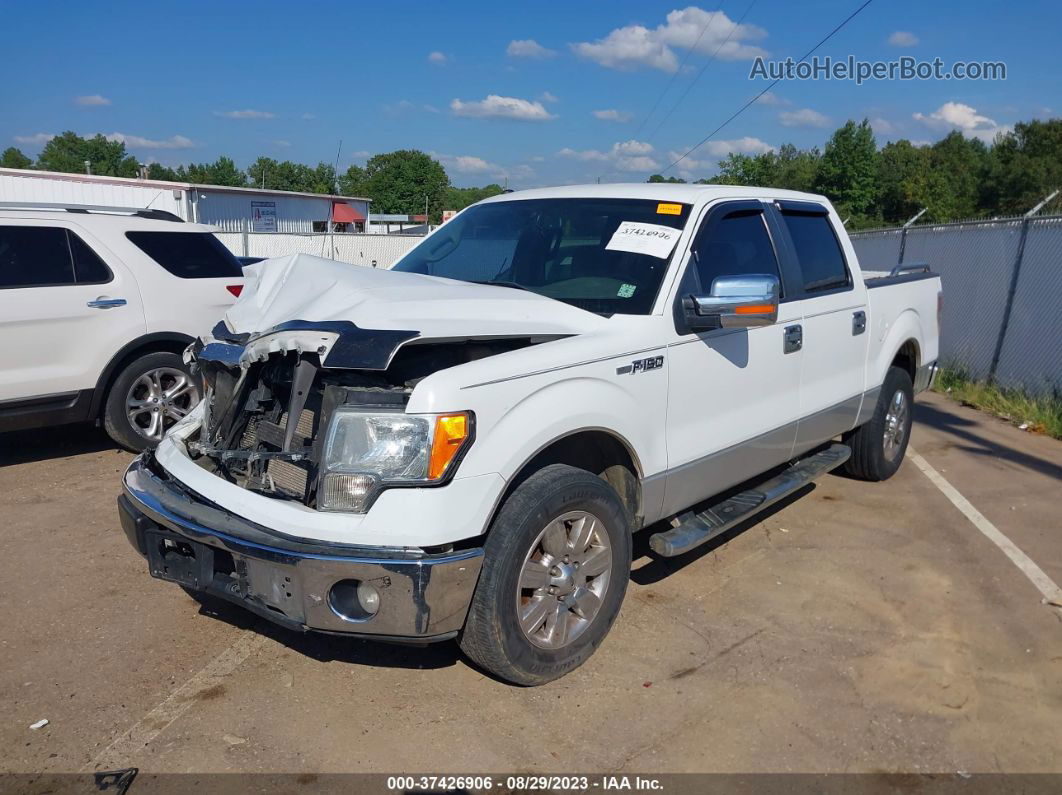 2010 Ford F-150 Xlt Белый vin: 1FTEW1C85AFA13837