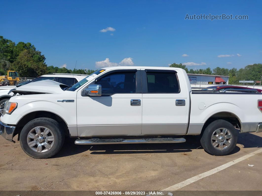 2010 Ford F-150 Xlt Белый vin: 1FTEW1C85AFA13837