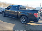 2010 Ford F-150 Xl/xlt Black vin: 1FTEW1C86AKB98374