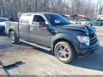 2010 Ford F-150 Xl/xlt Black vin: 1FTEW1C86AKB98374