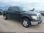 2010 Ford F-150 Fx2 Sport/xl/xlt Black vin: 1FTEW1C87AFB26981