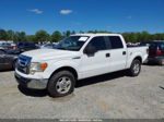 2010 Ford F-150 Fx2 Sport/xl/xlt White vin: 1FTEW1C88AFA14982