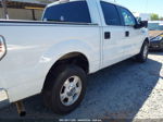 2010 Ford F-150 Fx2 Sport/xl/xlt White vin: 1FTEW1C88AFA14982