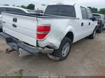 2010 Ford F-150 Fx2 Sport/xl/xlt White vin: 1FTEW1C88AFB78037