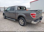 2010 Ford F-150 Xl/xlt/fx2 Sport Gray vin: 1FTEW1C88AFC44926