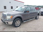 2010 Ford F-150 Xl/xlt/fx2 Sport Gray vin: 1FTEW1C88AFC44926