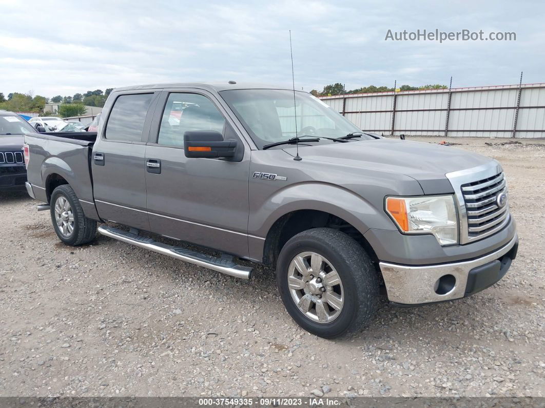 2010 Ford F-150 Xl/xlt/fx2 Sport Gray vin: 1FTEW1C88AFC44926