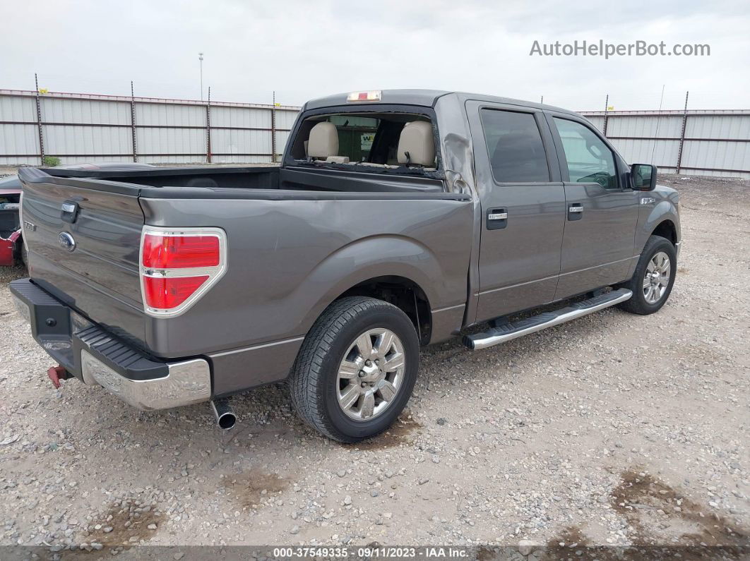 2010 Ford F-150 Xl/xlt/fx2 Sport Gray vin: 1FTEW1C88AFC44926