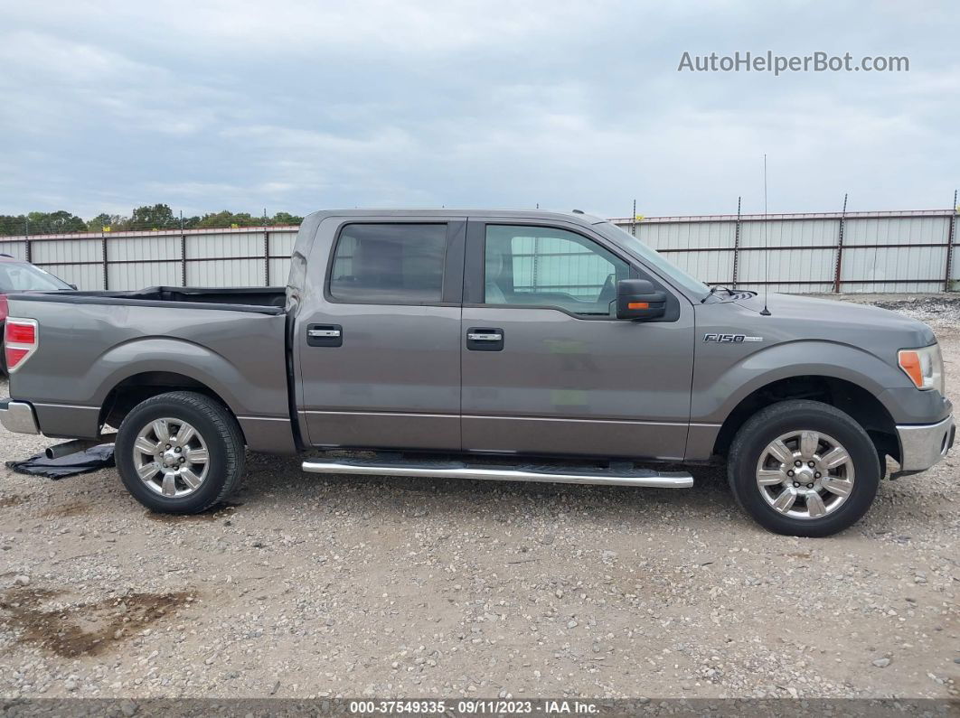 2010 Ford F-150 Xl/xlt/fx2 Sport Gray vin: 1FTEW1C88AFC44926