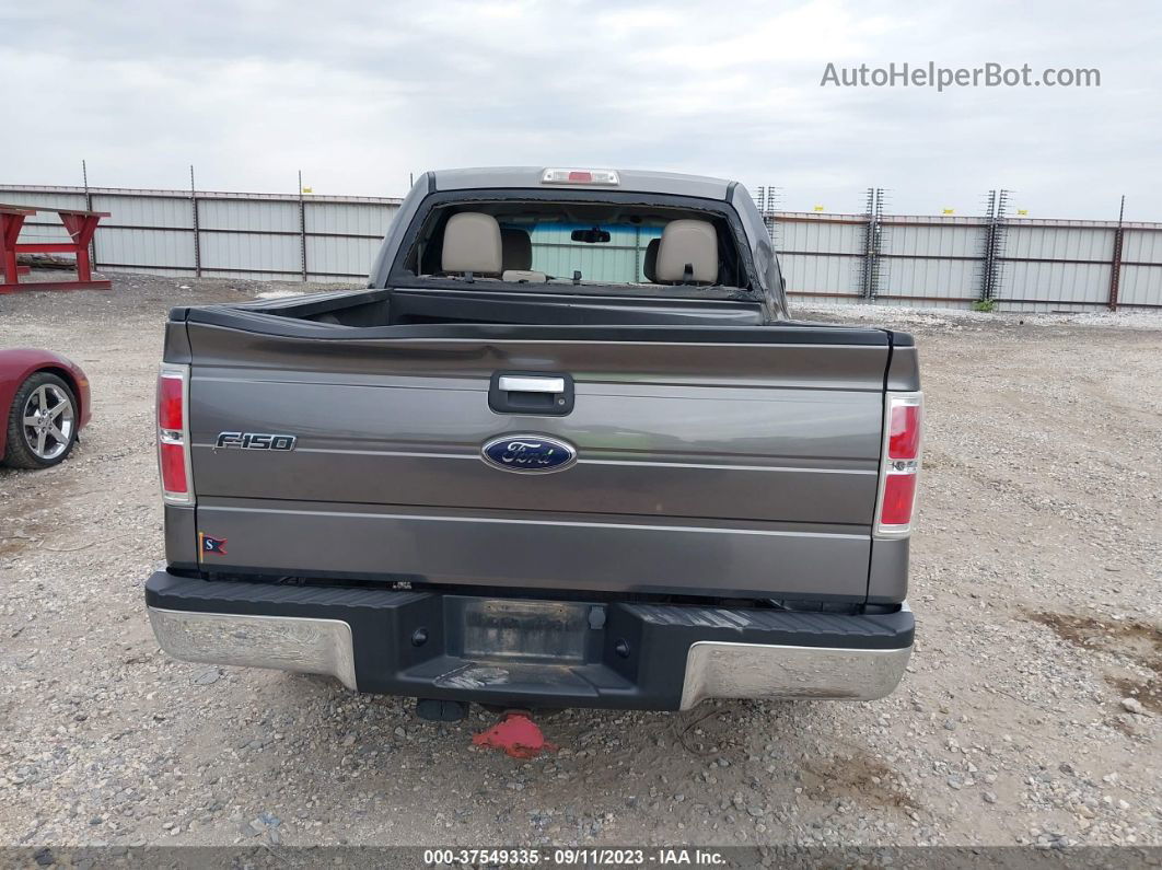 2010 Ford F-150 Xl/xlt/fx2 Sport Gray vin: 1FTEW1C88AFC44926