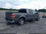 2010 Ford F-150 Fx2 Sport/xl/xlt Gray vin: 1FTEW1C89AFB02262