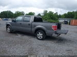 2010 Ford F-150 Fx2 Sport/xl/xlt Gray vin: 1FTEW1C89AFB02262