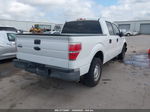 2010 Ford F-150 Xl/xlt Белый vin: 1FTEW1C89AFB20440