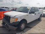 2010 Ford F-150 Xl/xlt White vin: 1FTEW1C89AFB20440