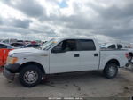 2010 Ford F-150 Xl/xlt White vin: 1FTEW1C89AFB20440