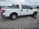 2010 Ford F-150 Xl/xlt White vin: 1FTEW1C89AFB20440