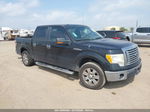 2010 Ford F-150   Black vin: 1FTEW1C8XAFD65814