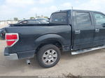 2010 Ford F-150   Black vin: 1FTEW1C8XAFD65814