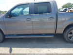 2010 Ford F-150 Xl/xlt/fx2 Sport Beige vin: 1FTEW1C8XAKE14713